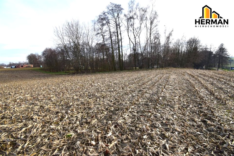 Działka budowlana Studzionka sprzedam