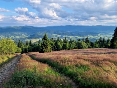 Działka inwestycyjna Wilczyce