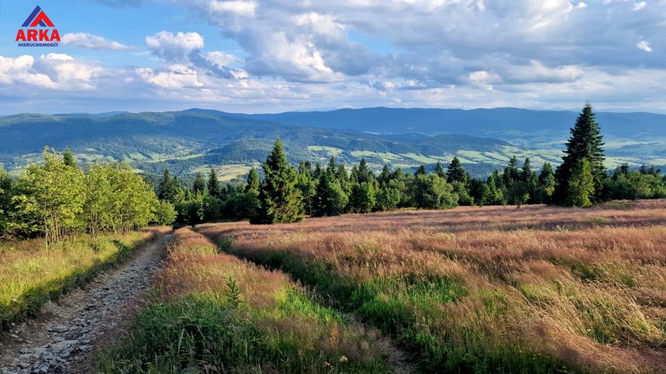 Działka inwestycyjna Wilczyce