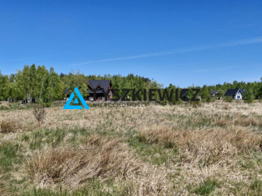 Działka przy lesie