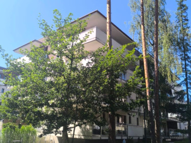 Mieszkanie Stegna sprzedaż