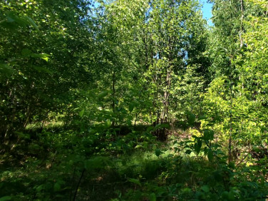 Działka budowlana Wólka Grodziska