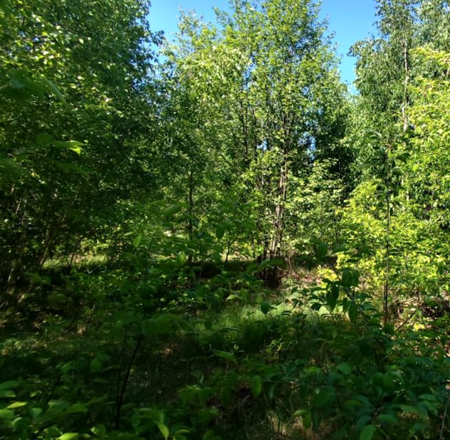 Działka budowlana Wólka Grodziska