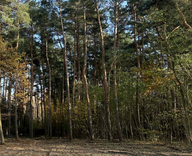 Działka budowlana Budy-Grzybek