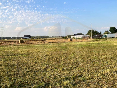 Działka Długie Stare