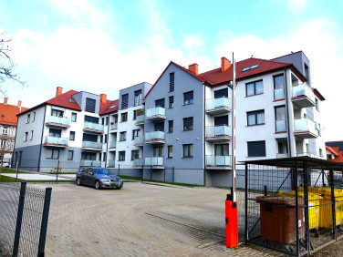 Mieszkanie Chojnów wynajem