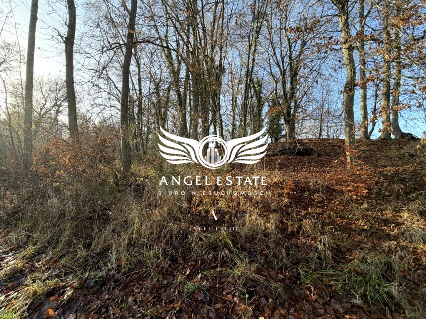 Działka inna Włodarka