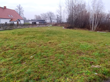 Działka budowlana Pieszyce