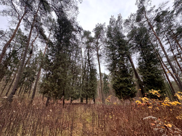 Działka Konstancin-Jeziorna