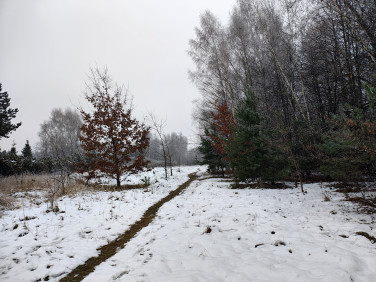 Działka budowlana Jaworzno sprzedam