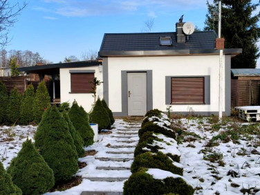 Działka rekreacyjna Poznań