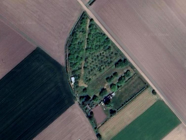 Działka Dziećmierowo