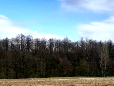 Działka budowlana Wilkszyn