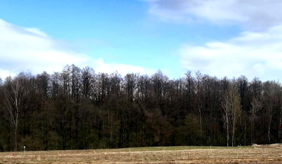 Działka budowlana Wilkszyn