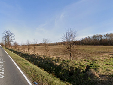 Działka inwestycyjna Alwernia