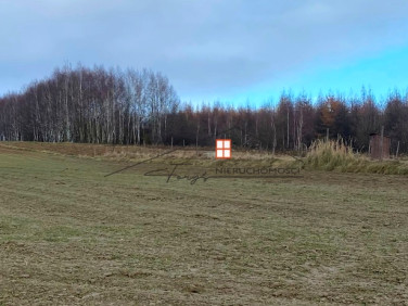 Działka rolna Hucisko Nienadowskie sprzedam