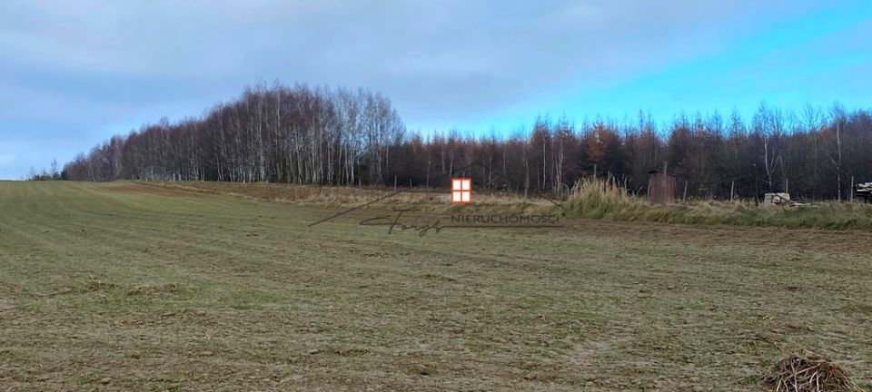 Działka rolna Hucisko Nienadowskie sprzedam