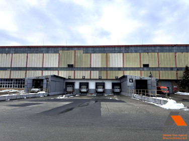 Budynek użytkowy Bielsko-Biała wynajem