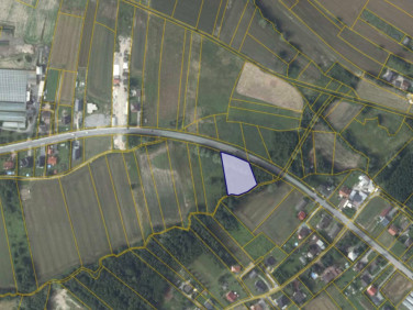 Działka rolna Trąbki