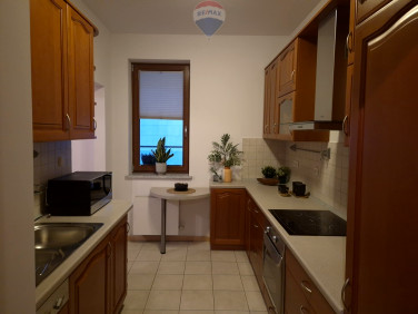 Mieszkanie apartamentowiec wynajem