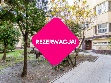 Lokal Warszawa