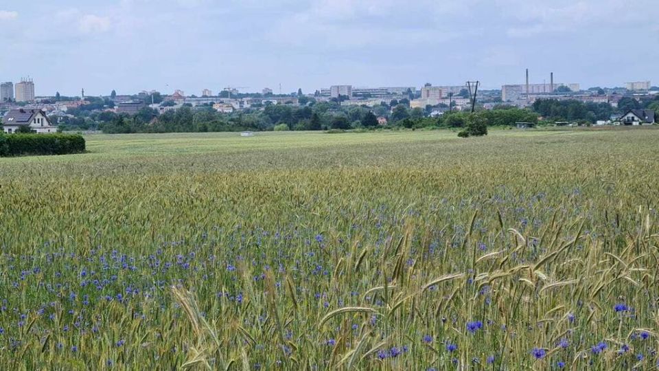 Działka budowlana Stargard