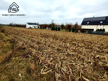 Działka budowlana Płouszowice-Kolonia