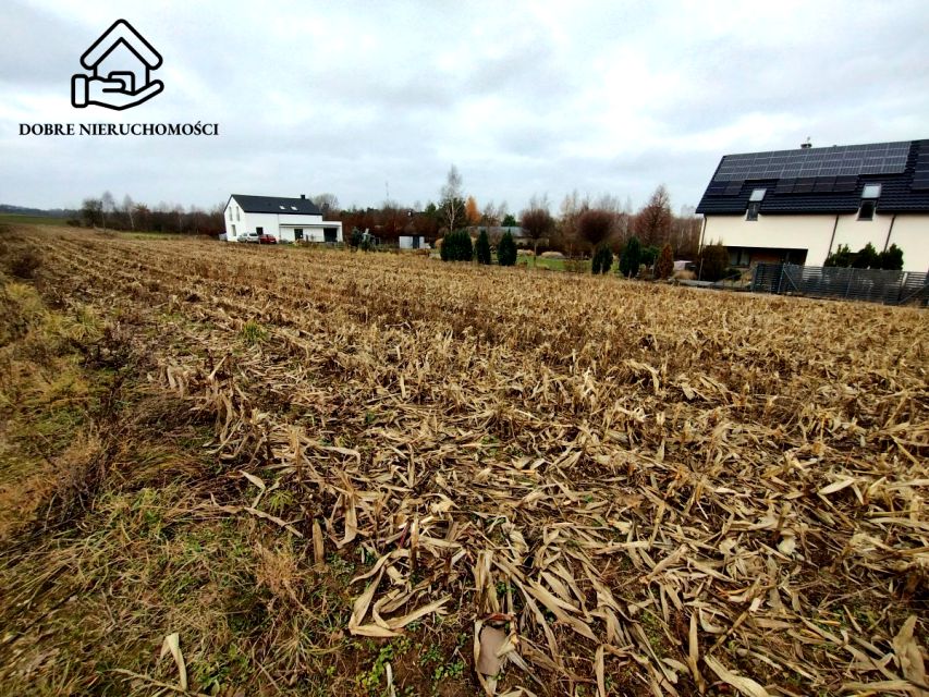 Działka budowlana Płouszowice-Kolonia