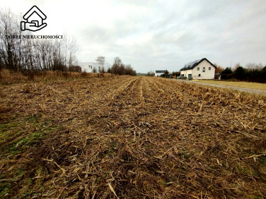 Działka budowlana Płouszowice-Kolonia