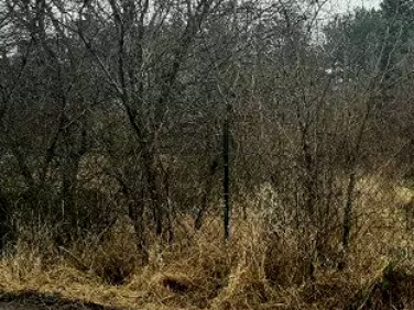 Działka budowlana Kiełpin Poduchowny sprzedam