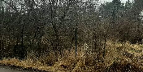 Działka budowlana Kiełpin Poduchowny sprzedam