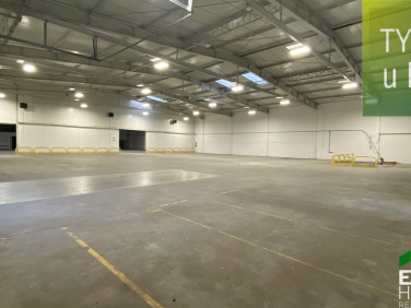 Budynek użytkowy Poznań wynajem