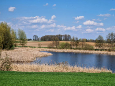 Działka rolna Łąki Markowe