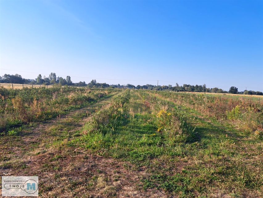 Pusta działka Przeczów