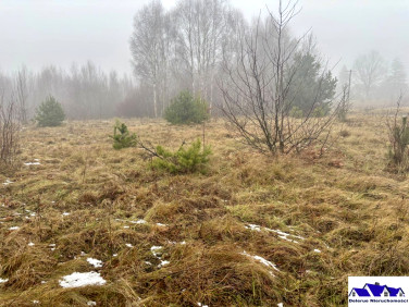 Działka budowlana Będźmierowice