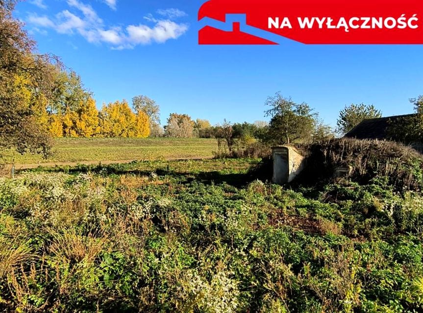 Zdjęcie 3