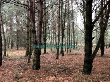 Działka budowlana Owczarnia