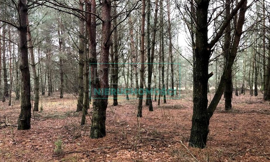 Działka budowlana Owczarnia