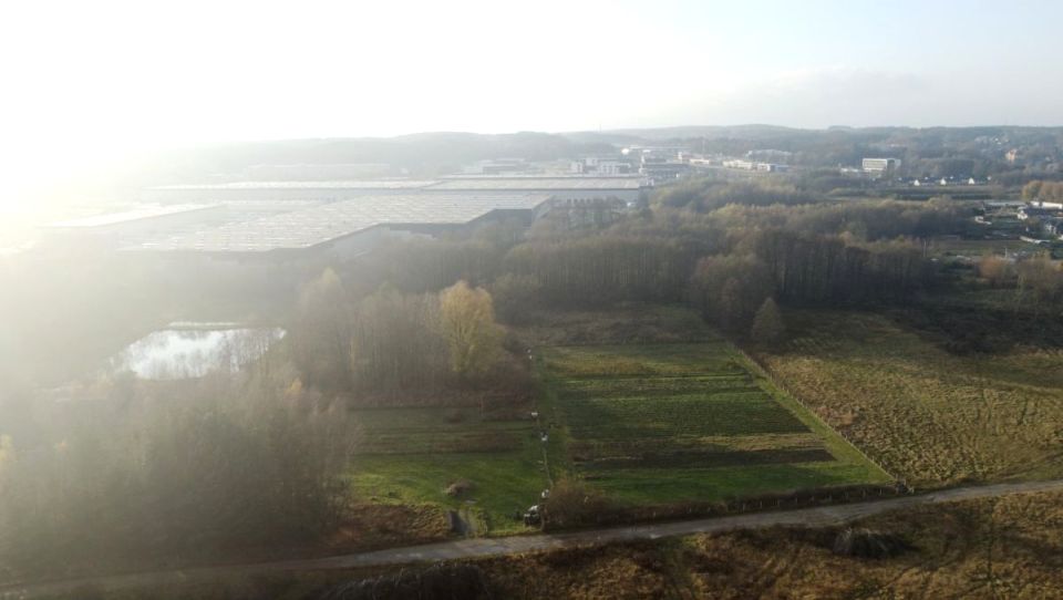 Działka przemysłowa Zielona Góra