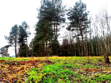 Działka budowlana Suliszew