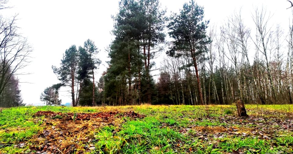 Działka budowlana Suliszew