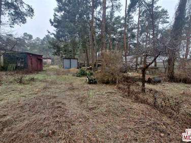 Dom wolnostojący sprzedaż