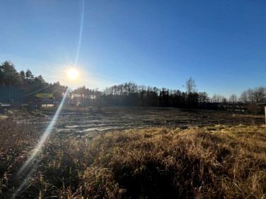 Działka inwestycyjna Gryfino