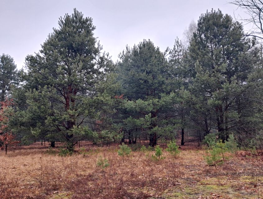 Działka budowlana Sulejówek