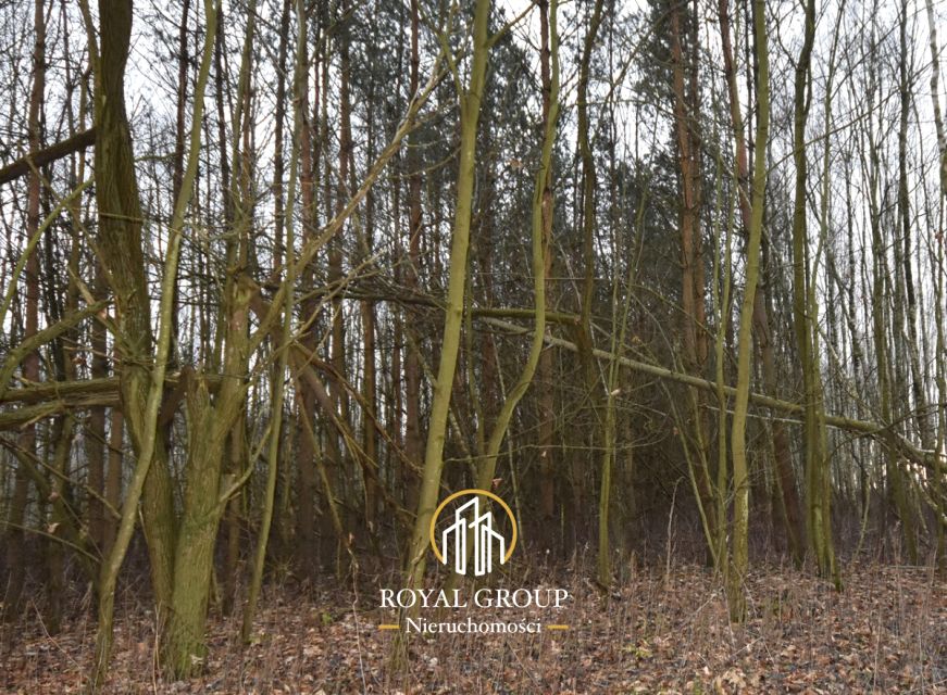 Działka leśna Jawidz