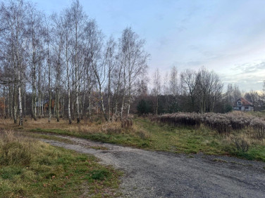 Działka budowlana Pabianice