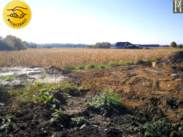 Pusta działka Brzegi