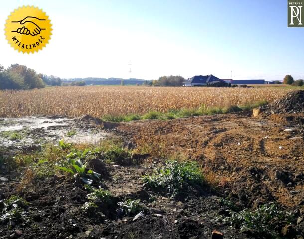 Pusta działka Brzegi