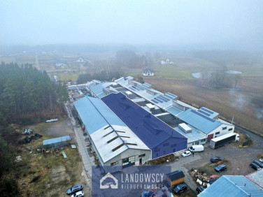 Budynek użytkowy Rokocin