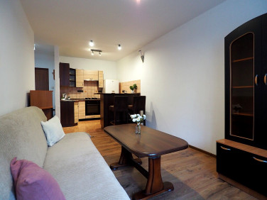 Mieszkanie Szczytnica wynajem